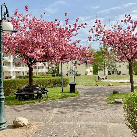 شقة Duenenpark - Wg 40 